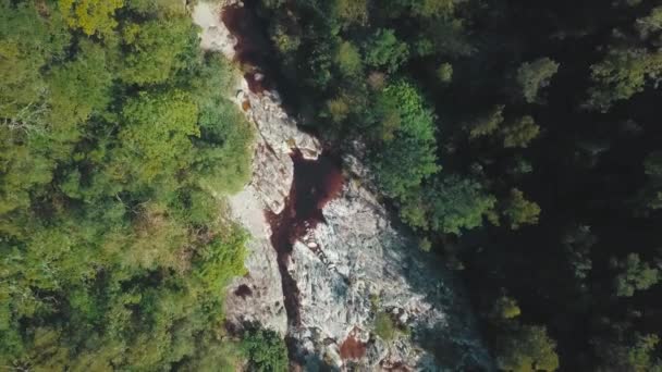 Creek cut through the rocky part of the forest — Stock Video