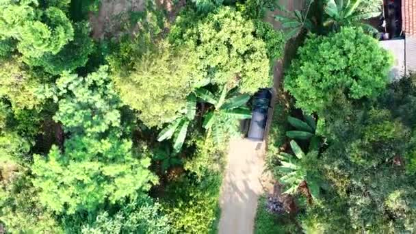 숲 공동체를 위해 만들어 진 도로 위를 여행하는 밴의 드론 영상 — 비디오