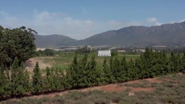 Bir tarım arazisinin insansız hava aracı görüntüleri — Stok video