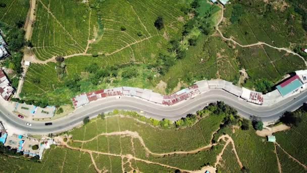 Drohnen-Ansicht einer Straße zwischen grünen Feldern — Stockvideo
