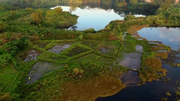 Mavi gökyüzünün yansıması olan bir gölün drone görüntüsü — Stok video