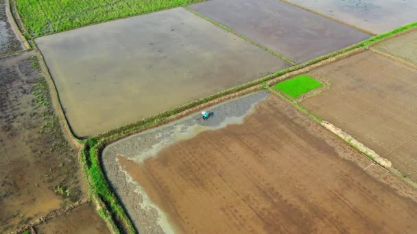 Tiro de ángulo alto de la persona labrando su tierra de cultivo — Vídeos de Stock