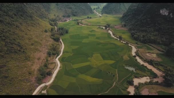 Καλλιέργεια ρυζιού σε ορεινές κοιλάδες — Αρχείο Βίντεο
