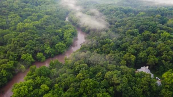 Rivière à travers une épaisse forêt — Video