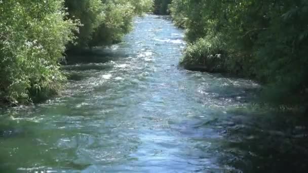 Río con fuerte corriente — Vídeo de stock