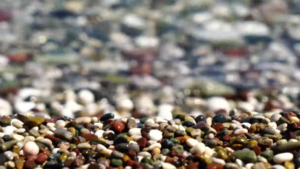 海岸上的卵石 — 图库视频影像