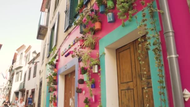 Een kleurrijk huis met hangende potplanten — Stockvideo