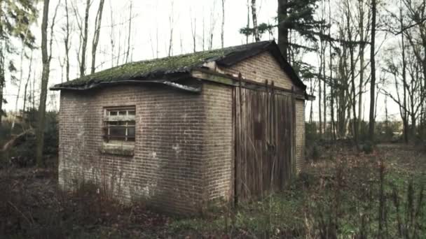 Verlaten huis in het bos — Stockvideo