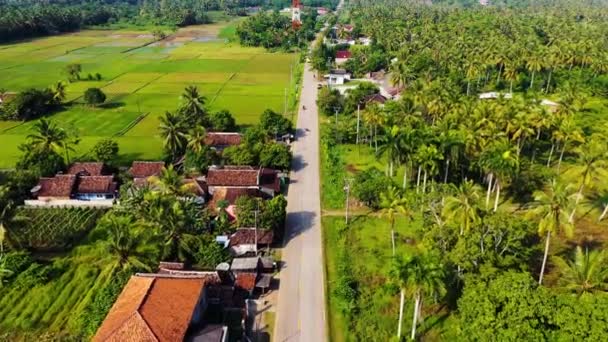 Aerial footage of lush agricultural land — Stock Video