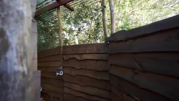 Projeto arquitetônico de um banheiro feito de materiais de madeira — Vídeo de Stock