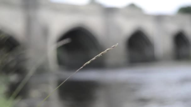 Río que atraviesa un túnel — Vídeo de stock