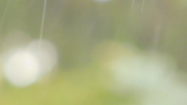 Bulanık yağmur ve kar videosu