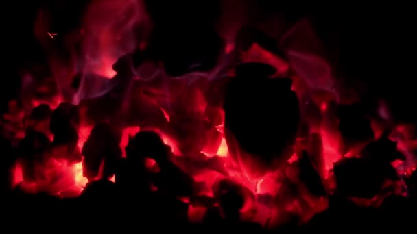 Κλείστε πλάνα από ένα φλεγόμενο κάρβουνο — Αρχείο Βίντεο