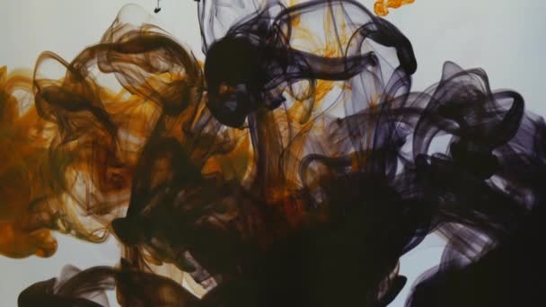 Mengsel van verschillende kleuren inkt in vloeistof — Stockvideo