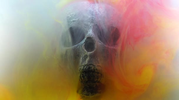 Cráneo con humo colorido — Vídeos de Stock