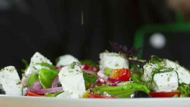 Aspersão de ervas secas em uma salada vegetal banhada — Vídeo de Stock