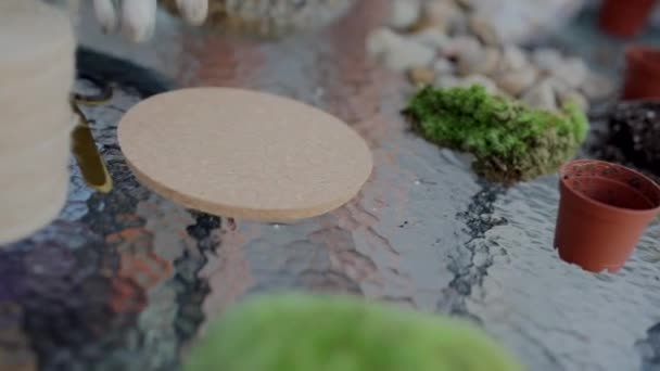 Menempatkan penutup terrarium guci kaca — Stok Video