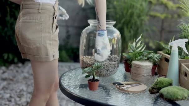 Vrouw schoonmaken van de glazen pot terrarium — Stockvideo