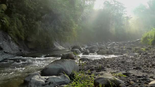Rivière rocheuse avec des rayons de soleil — Video