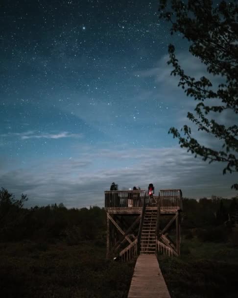 Sterrenkijkers positioneerden zich in een uitzicht dek op een sterrennacht — Stockvideo