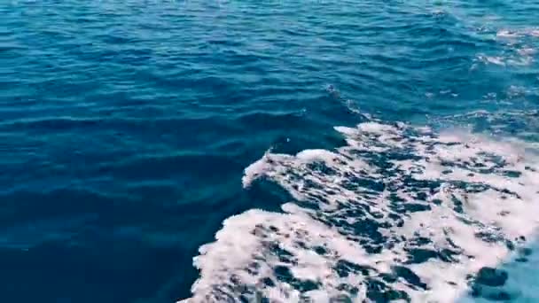 スピードボートの小道具青い水に白いウォッシュ — ストック動画