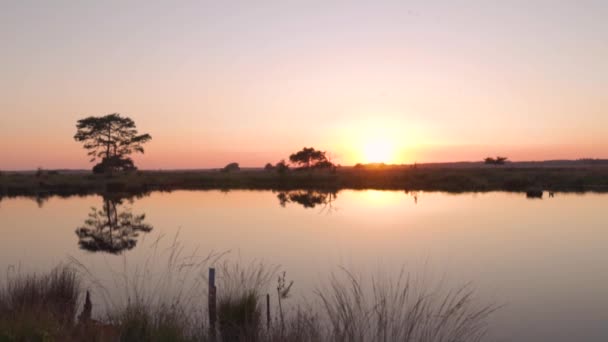 从湖岸看日落 — 图库视频影像