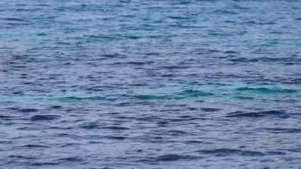 海の穏やかな水 — ストック動画