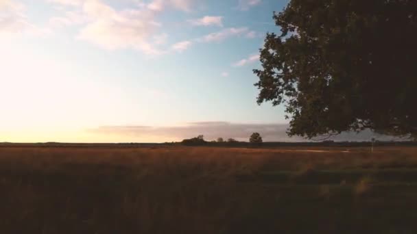 Ο ήλιος ανατέλλει πάνω από μια απέραντη γη από άγρια χόρτα — Αρχείο Βίντεο