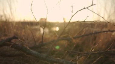 Gün batımında bir nehrin videosu