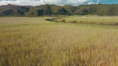 Su deresi buğday tarlasını keser.