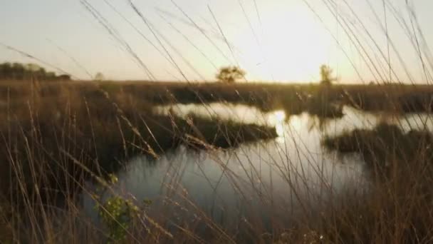 Videó egy folyóról naplementekor — Stock videók