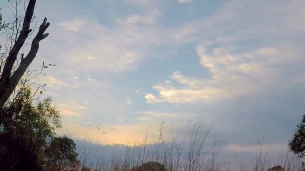 Wideo z chmur o świcie — Wideo stockowe