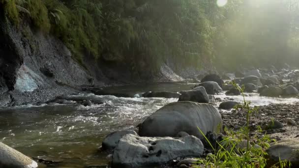 Відео річки вдень — стокове відео
