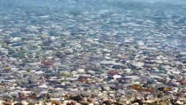 澄んだ水の下の石の眺め — ストック動画