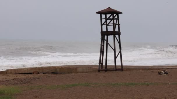 Torre di bagnino in legno vicino alla riva — Video Stock