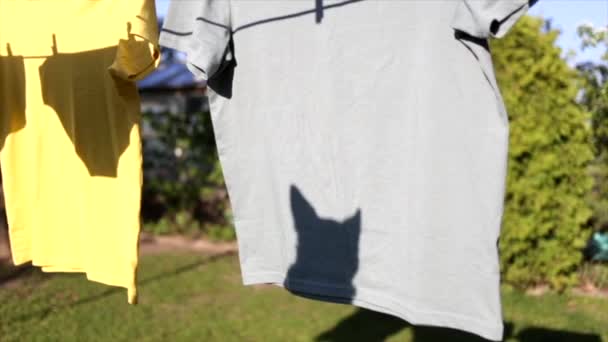 Σκιά σκύλου σε κρεμαστό πουκάμισο εξωτερική — Αρχείο Βίντεο