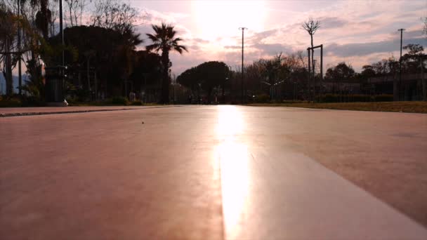 Personas y perros paseando y corriendo en el parque — Vídeos de Stock