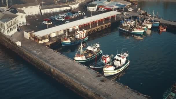 Barcos de pesca atracados en el puerto — Vídeo de stock