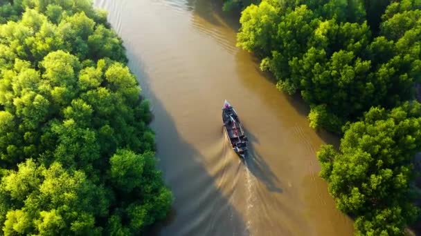 Motorówka przepływająca rzekę — Wideo stockowe