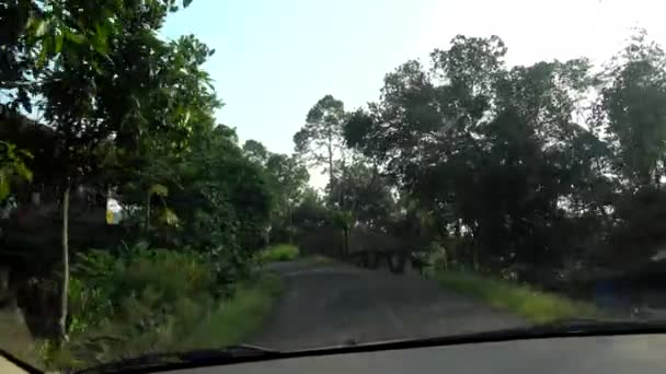 Путешествие на машине по сельской дороге — стоковое видео