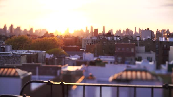 Захід Сонця Над Манхеттен Tilt Shift — стокове відео