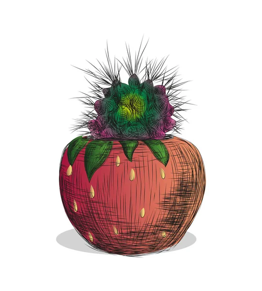 Rysunek Kłujący Zielony Kaktus Kolorze Czerwonym Postaci Doniczki Truskawkowej — Wektor stockowy