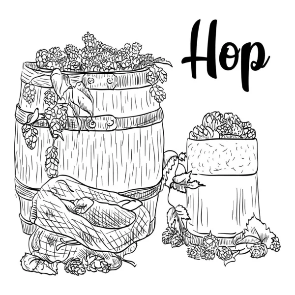 Drawn Oak Barrel Beer Mug Hops — Stock Vector