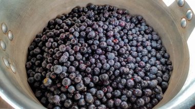 Taze toplanmış yabanmersini. Yeşil yapraklı sulu ve taze yaban mersini. Yabanmersinli antioksidan. Sağlıklı gıda ve beslenme konsepti