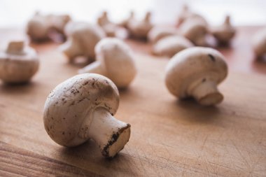 Bütün mantarlar doğrama tahtasına kapanıyor.