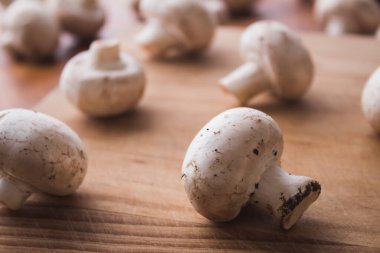 Bütün mantarlar doğrama tahtasına kapanıyor.