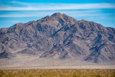 Renkli bir keşiş yengeci kabuğunda dinleniyor kumlu bir sahilde, büyük pençelerini gösteriyor..