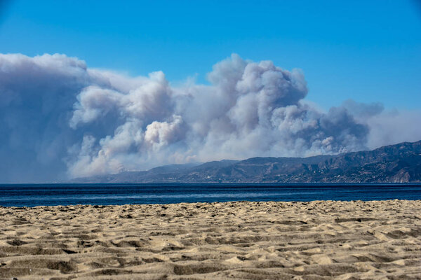 A colorful hermit crab rests in its shell on a sandy beach showing large claw.