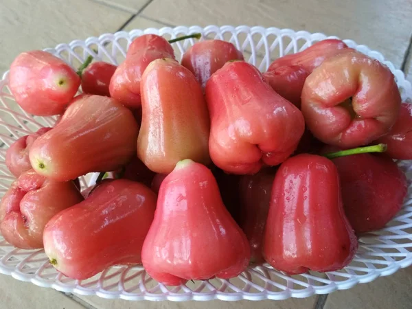 Rose apple fruit or the scientific name is Syzygium samarangense. Watery delicious fruit fresh harvested from the farm.
