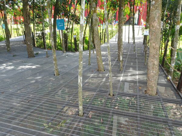 KUALA LUMPUR, MALAYSIA -JUNE 19, 2018: Hanging pedestrian pathway made from galvanized iron mesh and supported by mild steel. Built high from the plant's shoots and its design allows light penetration.
